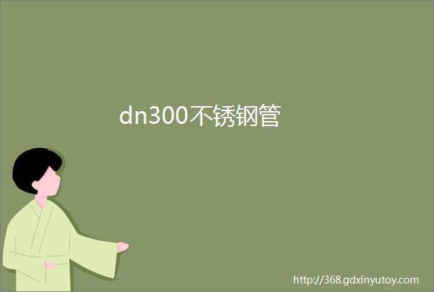 dn300不锈钢管